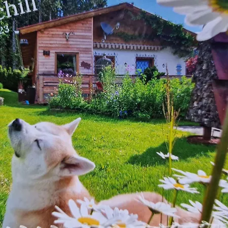 In St Michael Lavanttal 39497 Holiday home Witra