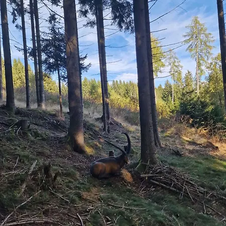 Σπίτι διακοπών In St Michael Lavanttal 39497 Witra