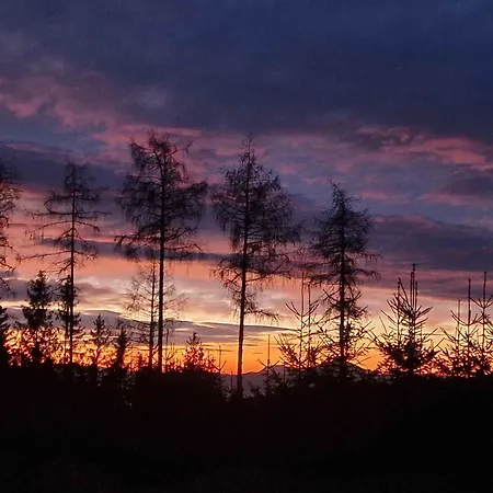 In St Michael Lavanttal 39497 Witra