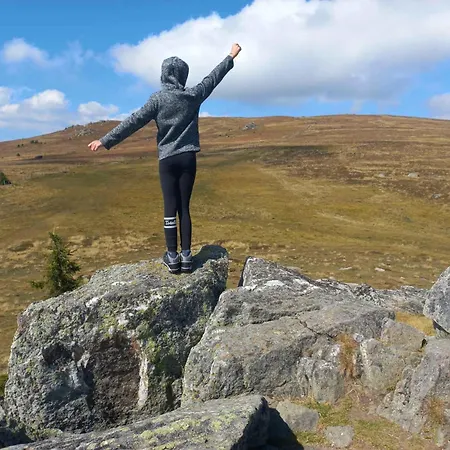 In St Michael Lavanttal 39497 * Witra