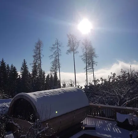 In St Michael Lavanttal 39497 * Witra