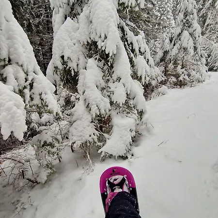 Σπίτι διακοπών In St Michael Lavanttal 39497 *