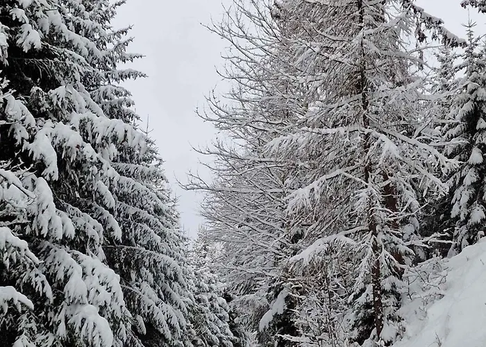 Holiday home In St Michael Lavanttal 39497